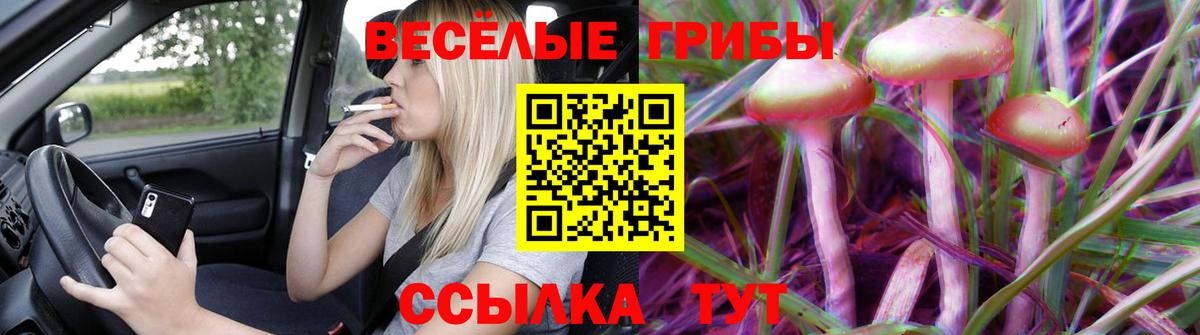 Юрга  купить наркотики сайты  Вход с VPN  Псилоцибиновые грибы Psilocybe 